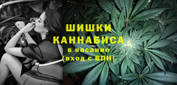 гидра Алзамай