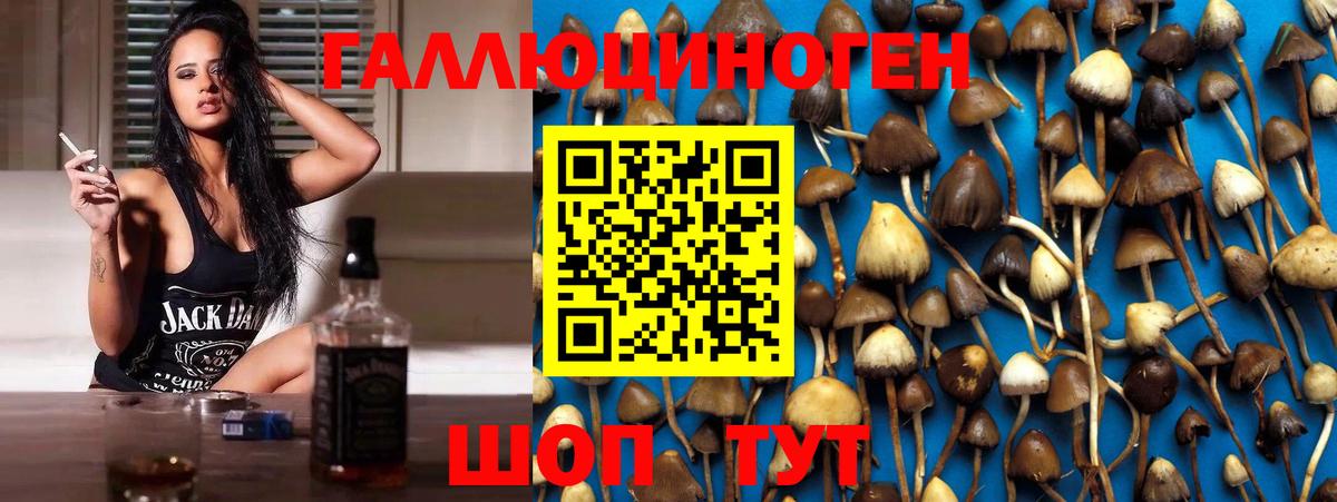 Старый Оскол  Галлюциногенные грибы MAGIC MUSHROOMS  Вход с VPN 